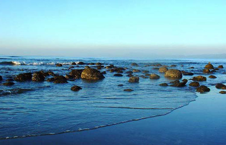 কচ্ছপের প্রজনন ব্যাহত হওয়ায় রাতে দ্বীপে আলো জ্বালানো যাবে না।