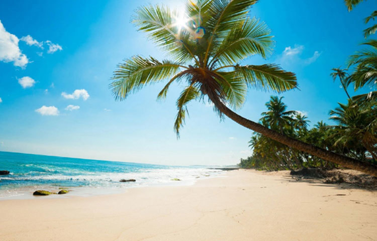 দ্বীপটির সব হোটেল-মোটেল ও স্থাপনা উচ্ছেদ করে জমি অধিগ্রহণ করা হবে। বসবাসকারীদের অন্যত্র সরিয়ে নেওয়া হবে। আগামী ৬ মাস থেকে ১ বছরের মধ্যে এসব সিদ্ধান্ত কার্যকর করা হবে। দীর্ঘ মেয়াদে দ্বীপটি শুধু জীববৈচিত্র্যের জন্য সংরক্ষণ করা হবে। সেন্টমার্টিন দ্বীপকে রক্ষা করতে এ ধরনের উদ্যোগ ছাড়া কোনো উপায় নেই।