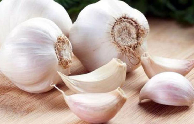 রসুন : নিয়মিত রসুন খেলে ইনসুলিন ক্ষরণের পরিমাণ বাড়ে। এতে রক্তে ব্লাড সুগারের মাত্রা নিয়ন্ত্রণে থাকে। এমটাই জানাচ্ছে বিশিষ্ট জার্নাল ফাইটোমেডিসিন।