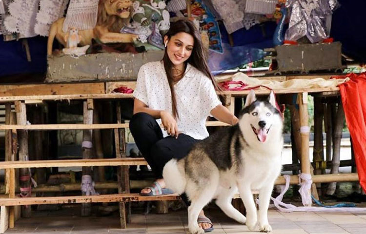 পোষ্যের সঙ্গে পুজো মণ্ডপে মিমি।