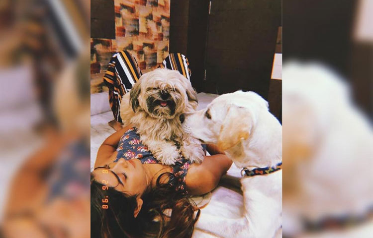 এদের দু’জনকে নিয়েই অবসর কাটান পার্নো।