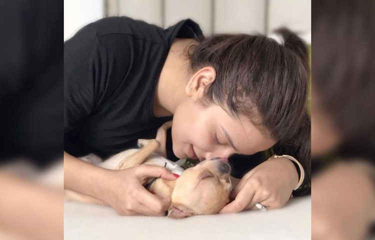 শুভশ্রীর বিয়েতেও জেলাটোর উপস্থিতি ছিল।