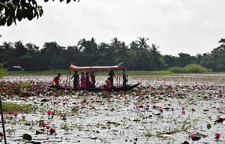 প্রাকৃতিক সৌন্দর্যের অপার লীলাভূমি বাংলাদেশের এই রূপ বিমোহিত করে পর্যটকদের, তাই প্রতিনিয়ত বাড়ছে পর্যটকদের পদচারণা। ছবি : খায়রুল বাশার আশিক