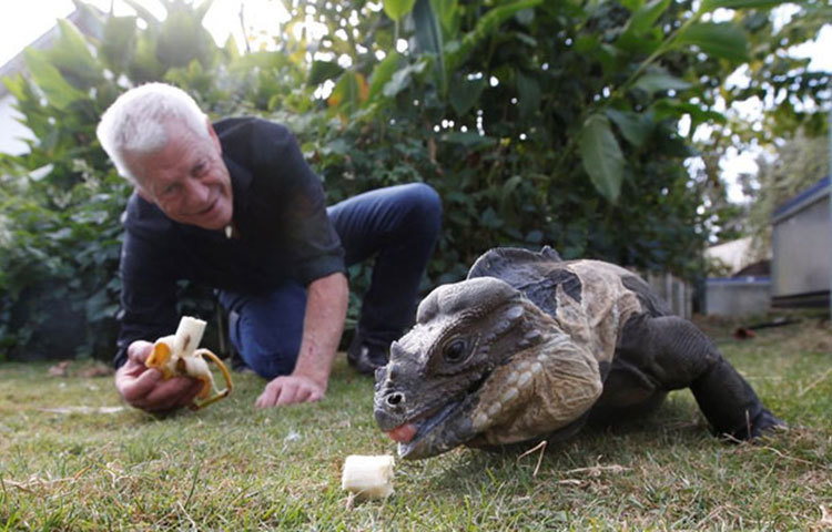 হিংস্র প্রণীপ্রিয় এই মানুষটির নাম নাম ফিলিপ গিলেট। তার বয়স ৬৭ বছর।