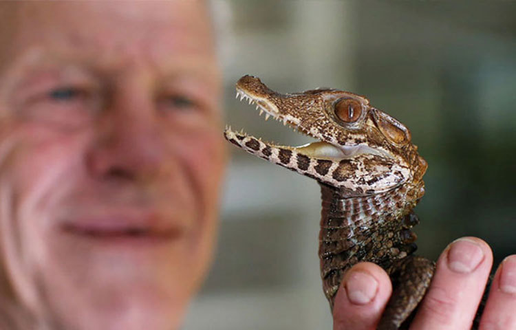 ফ্রান্সের রিভার লয়্যার থেকে আনা একটি গোখরো দেখতে পাবেন তার কফি টেবিলে শুয়ে রয়েছে। কখনও বাগানে ঘুরছে ৫০ কিলোগ্রামের কচ্ছপ।