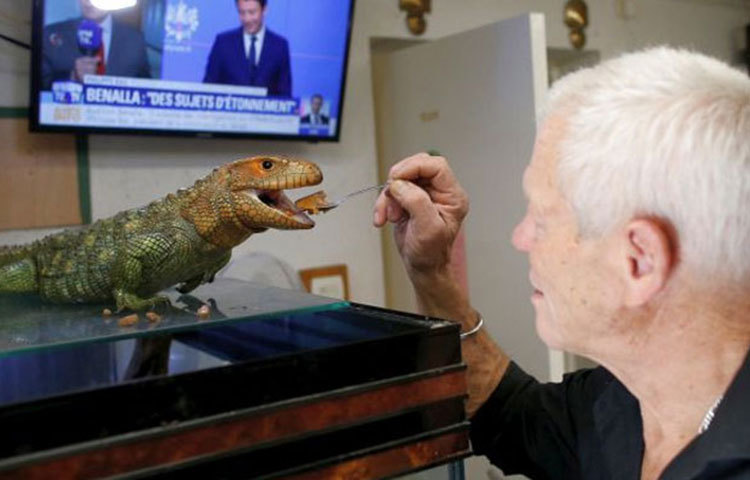 দু’দশক ধরে বিভিন্ন জায়গা থেকে নানা প্রজাতির প্রাণী জোগাড় করে সাজিয়ে রেখেছেন সংগ্রহশালায়। ৪০০’র বেশি প্রাণী রয়েছে তার বাড়িতে।