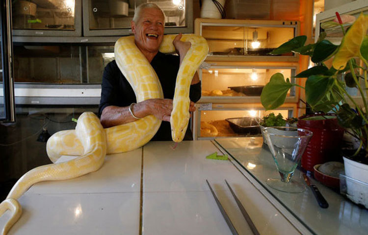 ফ্রান্সের ন্যান্টস শহরে ফিলিপের বাড়ি। এখানে গেলেই দেখতে পাবেন নানা প্রজাতির লেজার্ড।