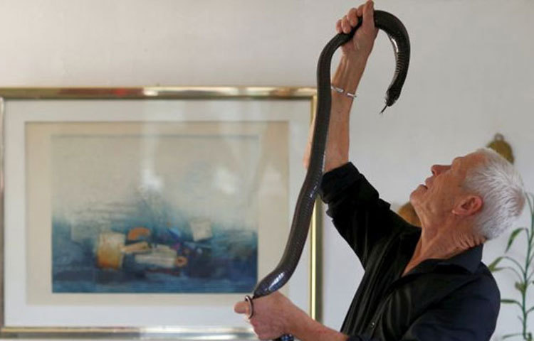 ঘরের বিছানায় নিশ্চিন্তে ঘুমাচ্ছে সাত ফুট লম্বা দুটো কুমির। দু’জনের নাম আলি এবং গেটর। এই দুই কুমির গিফট হিসাবে পেয়েছেন ফিলিপ।