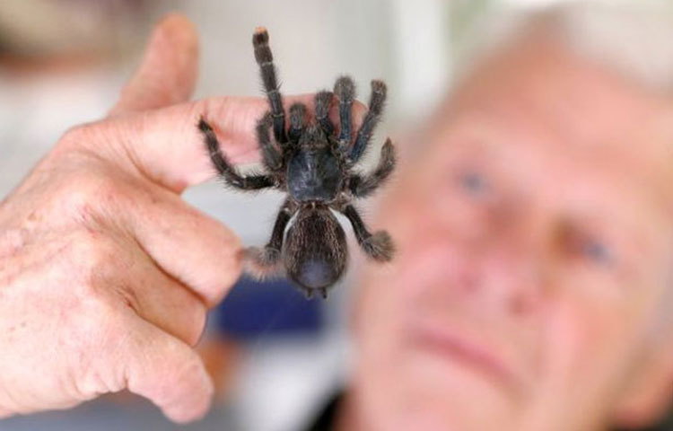 এমন ভয়ঙ্কর জীবজন্তুর সঙ্গ বসবাস করতে কী ভয় পান ফিলিপ! ফিলিপ জানাচ্ছে, একদমই না।