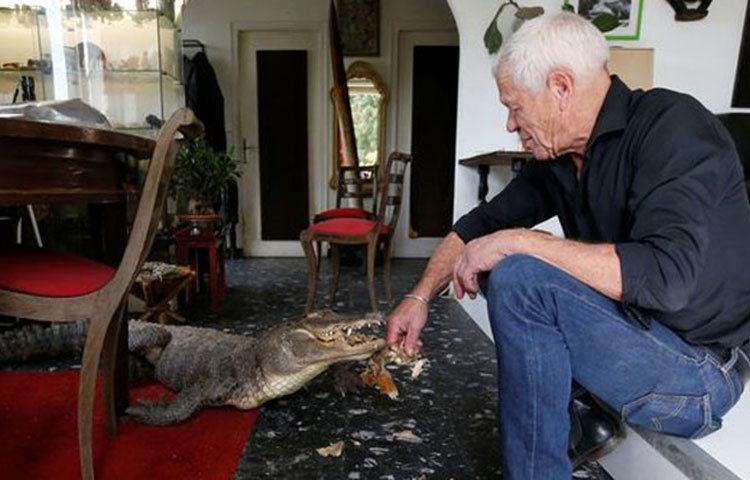 ফিলিপের বাড়িতে ঢোকার অনুমতি পেতে হলে কিন্তু প্রশাসনের কাছে দ্বারস্থ হতে হবে। অন্তত স্থানীয় দমকল দফতরে এমনটাই নির্দেশ। কারণ, বিপদ বলে কয়ে আসে না!