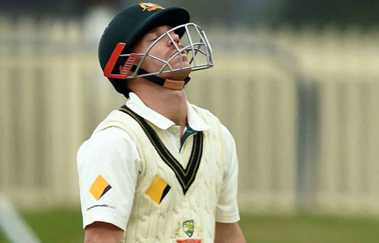 এদিন সতীর্থরা বারবার ওয়ার্নারকে মাঠে ফিরতে অনুরোধ করেন। শেষ পর্যন্ত ক্রিজে ফেরেন ওয়ার্নার।