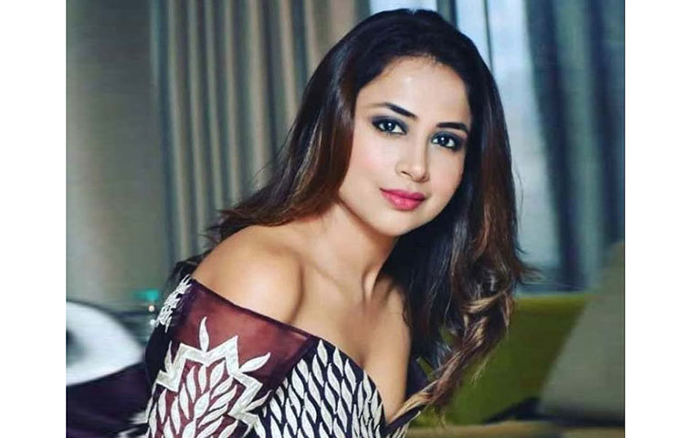 এরপর পুণেতে রেডিও জকি হিসেবে কাজ শুরু করেন রিধিমা। সেখান থেকেই তার ক্যারিয়ার জগতের হাতেখড়ি। স্ক্রিপ্ট লেখা, তারকাদের সাক্ষাৎকার নেওয়া সবই করতে হত তাকে।