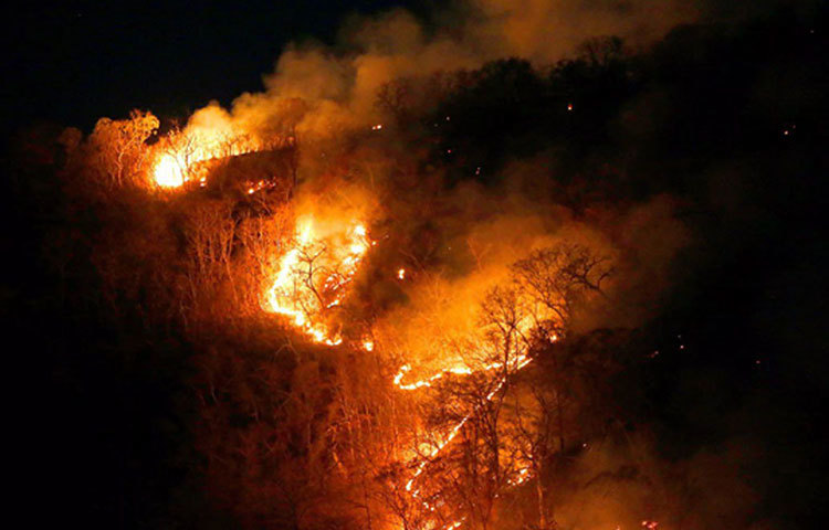 লাগাতার জ্বলছে ব্রাজিলের আমাজনের রেইন ফরেস্ট বা ‘বৃষ্টি-অরণ্য’। এক সঙ্গে ন’হাজারেরও বেশি দাবানল। পৃথিবীর ফুসফুস বলে মানা হয় যে আমাজন বৃষ্টি-অরণ্যকে, যার দুই-তৃতীয়াংশই ব্রাজিল সীমান্তের মধ্যে। সেই অংশটারই সবচেয়ে বেশি ক্ষতি হয়েছে।