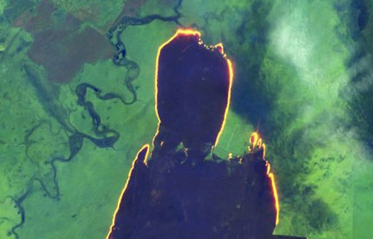 মার্কিন মহাকাশ সংস্থা নাসার উপগ্রহ চিত্রেও ধরা পড়েছে আমাজনে ঘটতে থাকা ৯৫০৭টি নতুন দাবানলের চিত্র। অ্যামাজনের আগুনের উপর নজর রাখছে নাসা। আগুনের তীব্রতার ছবিও পাঠাচ্ছে নাসার একাধিক স্যাটেলাইট। তবে আগুনের থেকেও বিজ্ঞানীদের বেশি ভাবাচ্ছে আগুন থেকে উৎপন্ন ধুম্রজাল। প্রায় ১৭০০ কিমি দূরত্ব পর্যন্ত ছড়িয়ে পড়েছে কালো ধোঁয়া।