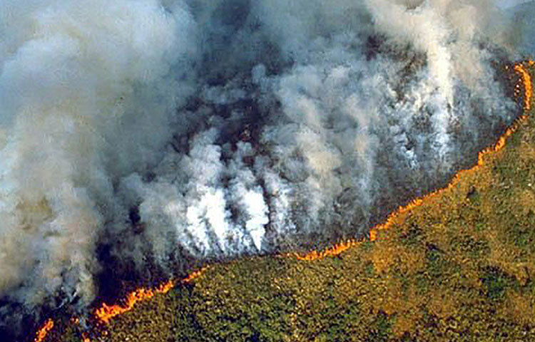 বৃষ্টিচ্ছায় অঞ্চল হওয়ায় বছরের বেশিরভাগ সময় ওই বৃষ্টি-অরণ্যে জুলাই-অগস্ট মাসে আমাজনের আবহাওয়া কিছুটা শুষ্ক হয়ে ওঠে। তবে স্থানীয় পরিবেশবিদদের ধারণা, প্রাকৃতিকভাবে এই আগুন লাগেনি। তাহলে?