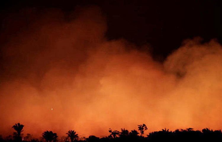 ব্রাজিলের ফেডেরাল বিশ্ববিদ্যালয়ের বিজ্ঞানীদের একাংশ বলছেন, শুকনো বাতাসে দাবানল জ্বলে ওঠা অস্বাভাবিক কিছু নয়। তবে এ ক্ষেত্রে দাবানলের প্রকোপে আগুন লাগেনি বলেই মনে করছেন তারা। ওই বিজ্ঞানীদের মতে, অনেক সময়েই চাষের জন্য জমি বা খামার তৈরি করতে ইচ্ছাকৃতভাবে জঙ্গলে আগুন ধরিয়ে দেন স্থানীয় গ্রামবাসীরা। সেখানেও এমনটাই হচ্ছে কিনা তা নিয়েও প্রশ্ন উঠেছে।