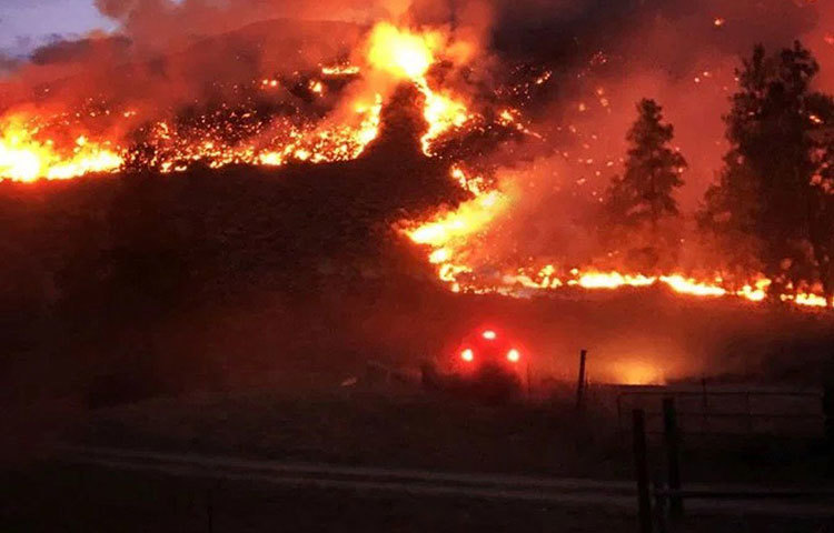 খনিজ পদার্থের ভাণ্ডার অ্যামাজন। খনিজ পদার্থ অন্বেষণের জন্য অ্যামাজন অরণ্যে লাগাতার জঙ্গল সাফ করে খনন কাজ চালানো হয়। সাম্প্রতিক পরিসংখ্যান বলছে, প্রতি মিনিটে একটি ফুটবল মাঠের মাপের জঙ্গল কাটা হয় এখানে। ফলে স্বল্প বৃষ্টিপাতও অ্যামাজনে আগুন লাগার অন্য একটি কারণ হতে পারে বলে ধারণা করছেন বিজ্ঞানীদের আর এক অংশ। কার্বন ছাকনি হিসেবে পরিচিত চিরসবুজের ওই জায়গা যে এই ঘটনার পর তার কার্যক্ষমতা হারাবে সে বিষয়ে নিশ্চিত প্রায় সমস্ত গবেষক।
