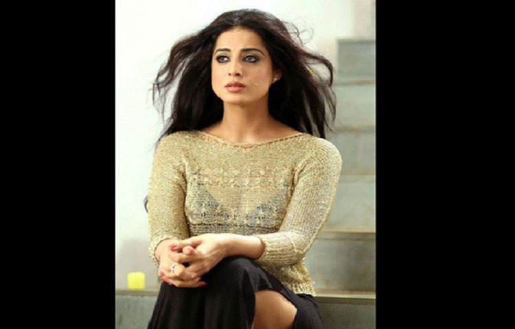 অনেকেরই জানা নেই, প্রাথমিক পড়াশোনা শেষ করে মাহি ভারতীয় সেনাবাহিনীতে যোগ দেওয়ার জন্য ওটিএ-এর প্রবেশিকা পরীক্ষায় সাফল্যের সঙ্গে উত্তীর্ণ হন। কিন্তু তিন মাসের ট্রেনিং চলার সময় ভয়ঙ্কর দুর্ঘটনার শিকার হন তিনি। তার সেনা অফিসার হওয়ার স্বপ্নের ইতি হয় সেখানেই।