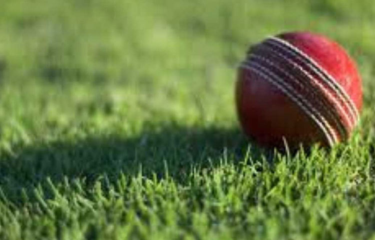 দুই দলের বোলারদের মধ্যে চারজনকে বেস্ট বোলারের তকমা পেতে পারেন। ভারতের যুজবেন্দ্র চহাল, যশপ্রীত বুমরা এবং পাকিস্তানের মহম্মদ আমির ও ওয়াহাব রিয়াজ।