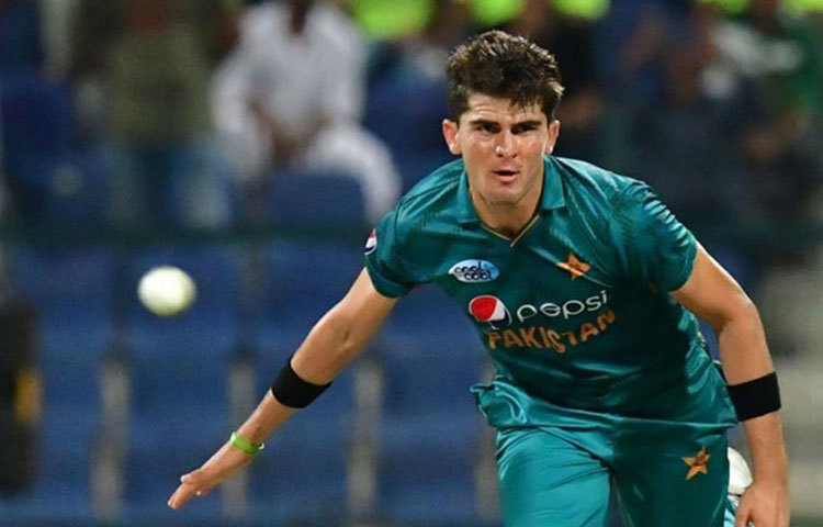 শাহিন আফ্রিদি: পাকিস্তানের এই পেসারের উচ্চতা ছয় ফুট ছয় ইঞ্চি। বয়স ১৯ বছর।