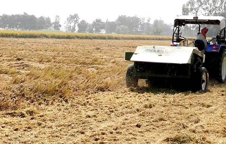 ছোট থেকে পারিবারিক চাষাবাদে সাহায্য করতেন দর্শন। পড়াশোনা শেষ করার পর ২০১৫ সাল থেকে পারিবারিক ১২ একর জমিতে চাষের হাল ধরেন তিনি।