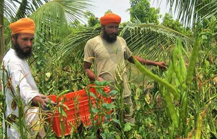 দর্শন বুঝতে পারেন, প্রকৃত অর্থে শেখার জন্য তাকে সফল কৃষকের কাছে যেতে হবে। পাঞ্জাব এবং হরিয়ানার সমস্ত সফল কৃষকের দ্বারে দ্বারে ঘুরতে শুরু করেন দর্শন। এরপরই তার মাথায় আসে যে, তার মতো এ রকম অনেক কৃষককে সঠিক প্রশিক্ষণ দিতে পারলে অনেক সমস্যার সমাধান হবে।