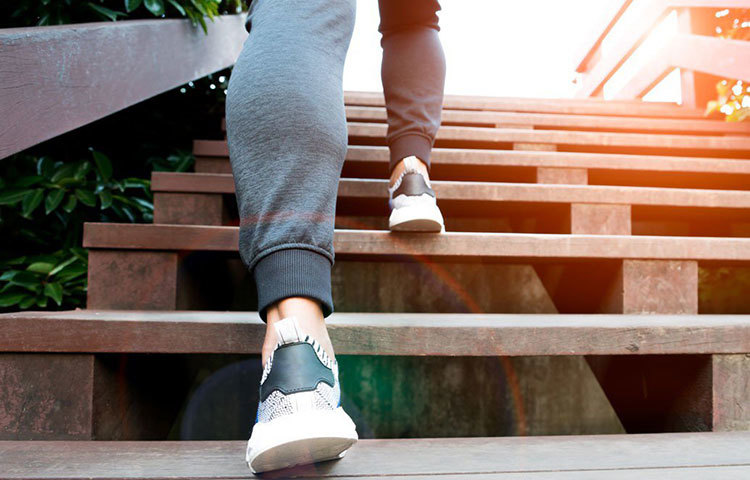 সাঁতার বা নাচেরও সময় নেই সারাদিনে। সকাল-সন্ধ্যা পরিশ্রমেই দিন শেষ। এমন মানুষের সংখ্যা কম নয়। তারা বরং বেছে নিন আরও সহজতর উপায়কে। অফিসে হোক বা বাড়িতে, সিঁড়ি ভাঙুন যতটা পারেন। দ্রæত গতিতে কয়েক ধাপ সিঁড়ি ভেঙে উপরে উঠুন, আবার নামুন। এমন অভ্যাস একটানা আধঘণ্টা করতে পারলে প্রায় ৫০০ ক্যালোরি ধরাতে পারবেন সহজেই।