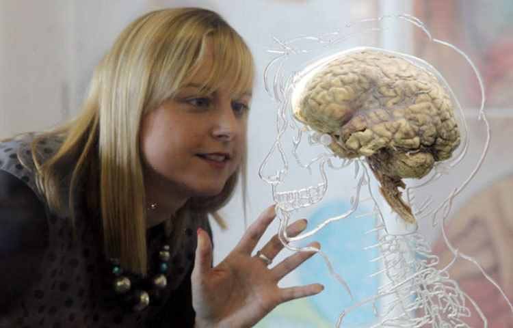 একাধিক সমীক্ষায় দেখা গিয়েছে, অধিকাংশ নারীই জীবনের নানা ক্ষেত্রে, নানাভাবে ঝুঁকি নিতে ভালোবাসেন। সেজন্য তাদের মস্তিষ্কও সেভাবেই তৈরি।