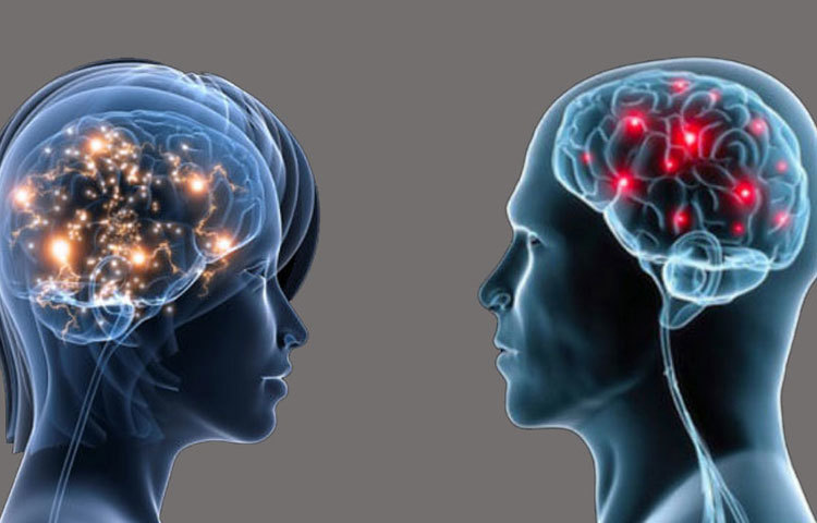 একাধিক সমীক্ষায় দেখা গিয়েছে, মস্তিষ্কের গঠন অনুয়ায়ী মেয়েরা ছেলেদের তুলনায় কম আগ্রাসী স্বভাবের হয়।