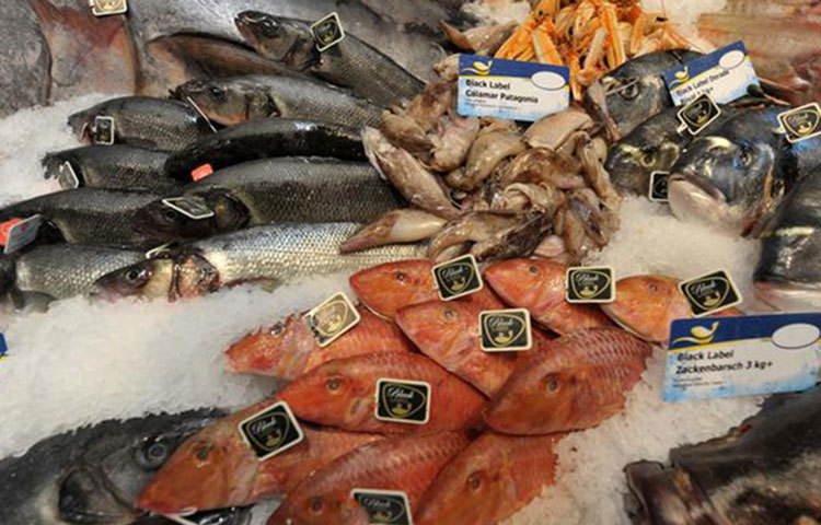 বরফে রাখা তাজা মাছ চেনার উপায়: মাছের নিচে যথেষ্ট পরিমাণ বরফ রয়েছে কিনা, ভালো করে দেখে নিন। বরফ কম হলে অনেক সময় দেখে বোঝা না গেলেও মাছ নষ্ট হয়ে যাওয়ার আশঙ্কা থাকে।