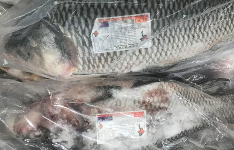 ফ্রোজেন মাছ গরম পানিতে ভেজাবেন না: তাড়াহুড়ো করতে যেয়ে ডিপফ্রিজে রাখা মাছ কখনো গরম পানিতে ভেজাবেন না, যা অনেকেই করে থাকেন। এতে মাছের রসালোভাব কমে গিয়ে মাছকে শুষ্ক করে ফেলে এবং এতে মাছের আসল স্বাদ কমে যায়। তাই রান্নার কয়েক ঘণ্টা আগেই ডিপফ্রিজ থেকে বের করে বাইরে রেখে দিন, নিজে থেকেই মাছ গলে যাবে। তখন রান্না, ভাজি যাই করুন না কেন, মাছের পুরো স্বাদই পাবেন।