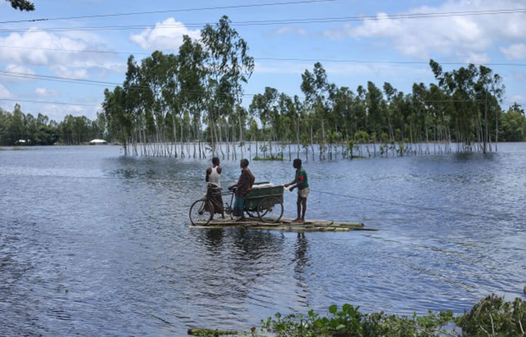 বানের পানিতে ডুবে আছে বিস্তীর্ণ এলাকা। ছবি: মাহবুব আলম