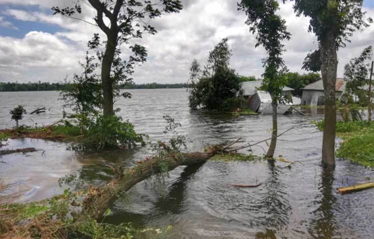 পানিতে ডুবে গেছে বাড়ি-ঘর। ছবি: মাহবুব আলম