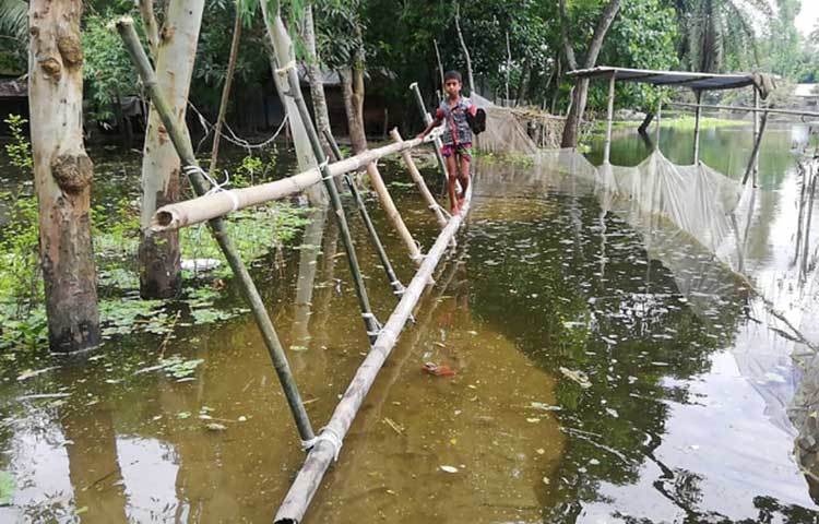 পানিতে সব ডুবে যাওয়ায় যোগাযোগ ব্যবস্থা বিচ্ছিন্ন হয়ে গেছে। বাড়ির সামনের অংশ ডুবে যাওয়ার কারণে সাঁকো পার হচ্ছে এক শিশু। ছবি: মাহবুব আলম