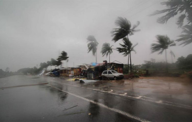 প্রবল বাতাসে কাঁপছে প্রকৃতি।