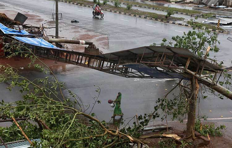 গাছপালা ভেঙে পড়েছে ফণীর প্রভাবে।