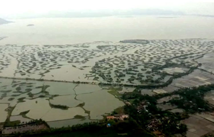 শহর ও শহরের বাইরে বিভিন্ন রাস্তায় বহু গাছ উপড়ে পড়ে রাস্তা আটকে দিয়েছে।