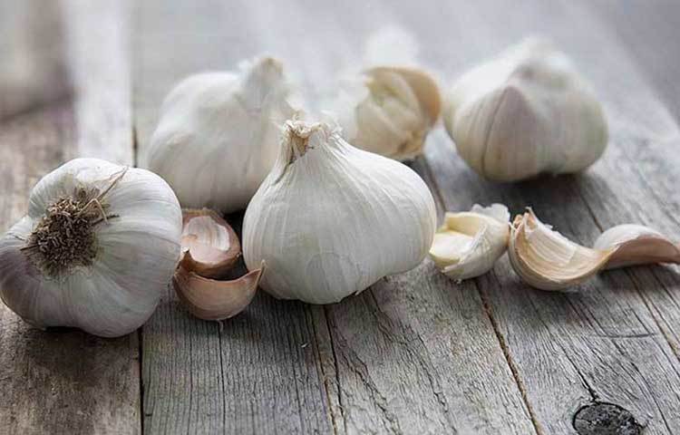 রসুন আমাদের গল ব্লাডার, লিভার পরিষ্কার রাখতে সাহায্য করে। রক্ত সঞ্চালনের গতি বাড়িয়ে হাড় ও পেশির ব্যথা কমায়।