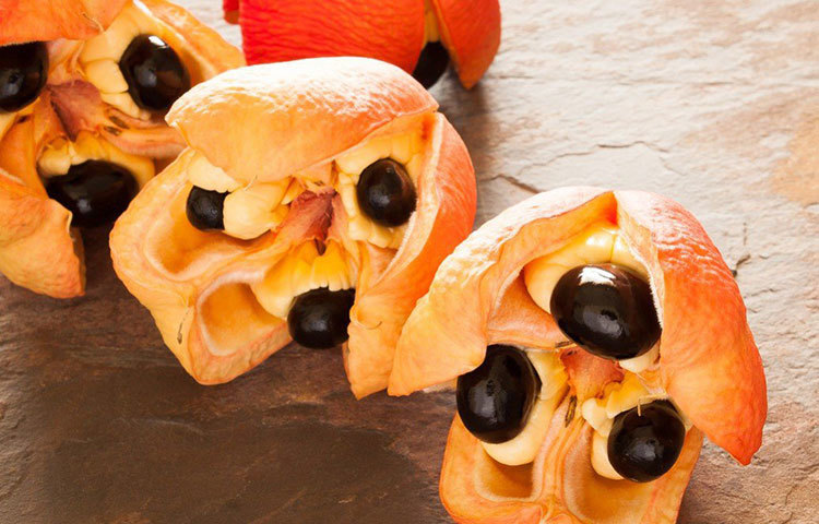 জামাইকার জাতীয় ফল অ্যাকি নিষিদ্ধ মার্কিন যুক্তরাষ্ট্রে। পাকা অবস্থায় এই ফল খেলে কোনো ক্ষতি না হলেও কাঁচা অবস্থায় এই ফল কোনোভাবে খেয়ে নিলে বমি, নানা ধরনের অসুখ এমনকি মৃত্যুও হতে পারে।