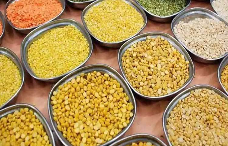 শরীরের প্রোটিনের প্রয়োজন মেটানোর পাশাপাশি রক্ত পরিষ্কার করতে সাহায্য করে ডাল। তাই ডাল প্রতিদিনের ডায়েটে রাখুন।