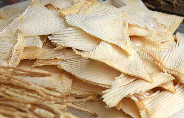 হাঙর নিয়ে কতশত গল্পই রয়েছে। রয়েছে কত সিনেমাও। কিন্তু এই হাঙরের পাখনাও নাকি খাদ্য! মার্কিন যুক্তরাষ্ট্রে এক সময় এই খাবার বিশেষ জনপ্রিয়তা লাভ করলেও হাঙর বিপন্ন প্রাণীর তালিকায় অন্তর্ভুক্ত হলে যুক্তরাষ্ট্র সরকার আইন করে বন্ধ করেছে এর কেনাবেচা।