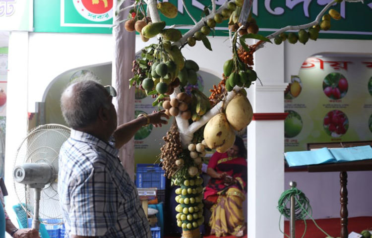 সকাল ১০টায় রাজধানীর ফার্মগেটের আ. কা. মু গিয়াস উদ্দিন মিলকী অডিটোরিয়ামে বৃক্ষ রোপণ পক্ষ ও জাতীয় ফল প্রদর্শনীর উদ্বোধন করবেন কৃষিমন্ত্রী ড. আবদুর রাজ্জাক। কৃষি মন্ত্রণালয়ের জনসংযোগ কর্মকর্তা মোহাম্মদ গিয়াস উদ্দিন স্বাক্ষরিত এক প্রেস বিজ্ঞপ্তিতে এ তথ্য জানানো হয়। ছবি: মাহবুব আলম
