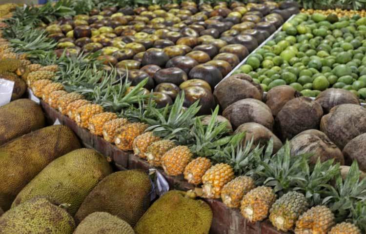 দেশজ ফলের প্রর্দশনী দেখছেন একজন। ছবি: মাহবুব আলম