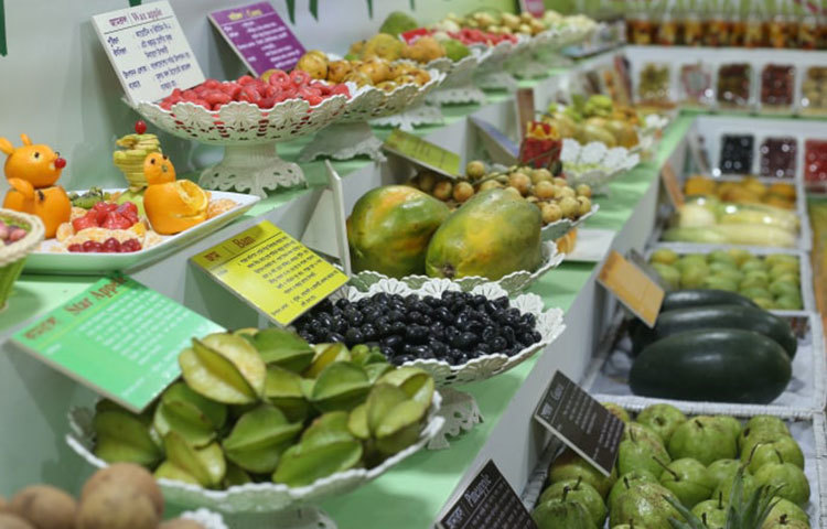 রসালো সব ফলের সমাহার। ছবি: মাহবুব আলম