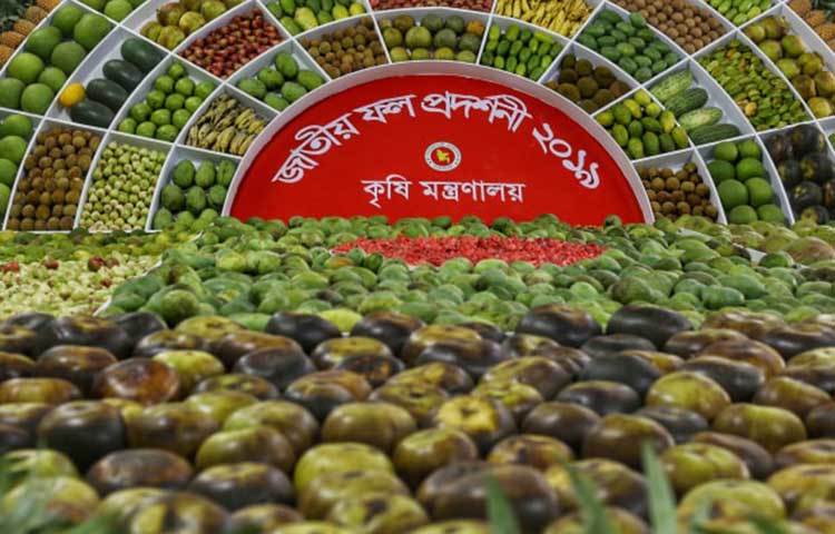 জাতীয় ফল প্রদর্শনী ২০১৯-এ মজাদার ফলের আয়োজন। ছবি: মাহবুব আলম