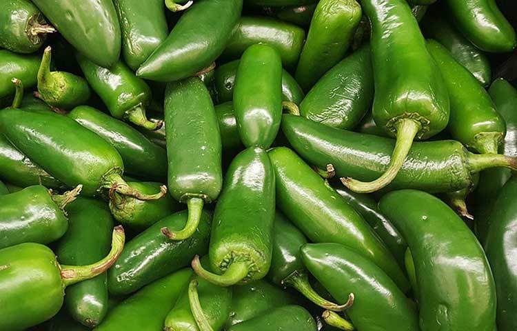 ক্যানসারের বিরুদ্ধে লড়তে সক্ষম কাঁচামরিচ। এর অ্যান্টিঅক্সিড্যান্ট উপাদান বিভিন্ন ক্রনিক অসুখ ও সংক্রমণ থেকেও শরীরকে দূরে রাখে।