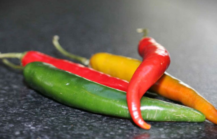 কাঁচা মরিচ খেলে আমাদের মস্তিষ্কে এনড্রোফিন নামে এক রকম হরমনের নিঃসরণ ঘটে যা আমাদের মনকে চনমনে আর সতেজ রাখে।