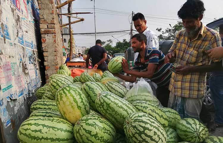 রাসালো তরমুজ বিক্রি হচ্ছে। ছবি: মাহবুব আলম