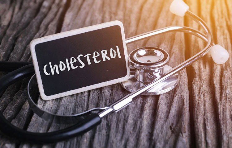 তার মতে, ‘খারাপ কোলেস্টেরল নিয়ে প্রথম থেকে সচেতন না হলে ভবিষ্যতে নানা জটিল অসুখের শিকার হতে হয়। তবে এই লাইফস্টাইল ডিজিজ নিয়ন্ত্রণও করা যায় রুটিনের কিছুটা অদলবদল ঘটিয়েও। সারা দিনের কাজে কিছু জরুরি পদক্ষেপ করা, কিছু ভুল বাদ দেওয়া এই সমস্যাকে নিয়ন্ত্রণে রাখার উপায়।’