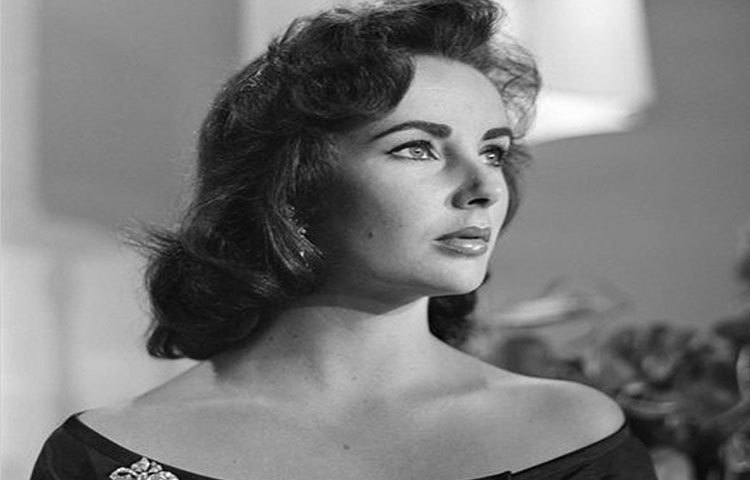 তার মৃত্যুর পরে নিলাম হয়েছিল এলিজাবেথ টেলরের বিপুল অলঙ্কার সম্ভার। ক্রিস্টির নিলামে গয়নার দাম উঠেছিল কয়েক মিলিয়ন ডলার। পুরো টাকাই ব্যবহৃত হয়েছিল এলিজাবেথ টেলরের নামাঙ্কিত এডস গবেষণা সংক্রান্ত সংস্থায়।